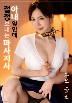 候鸟计划海报